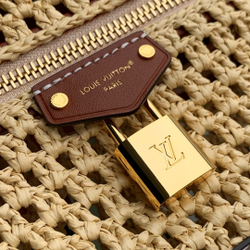 Louis Vuitton Vanity Chain Pouch