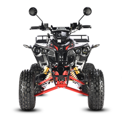 Электроквадроцикл White Siberia SNEG PRO R 3000W Черный