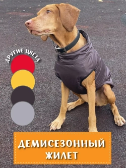 Жилет для собак мелких средних крупных пород