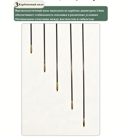 WILD MONSTER long carbon conical