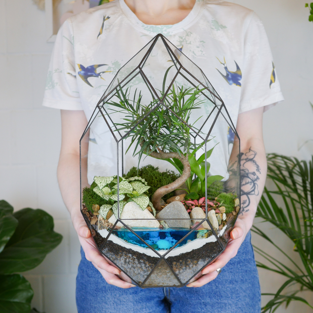 Готовый флорариум бонсай Подокарпус Цефей с озером