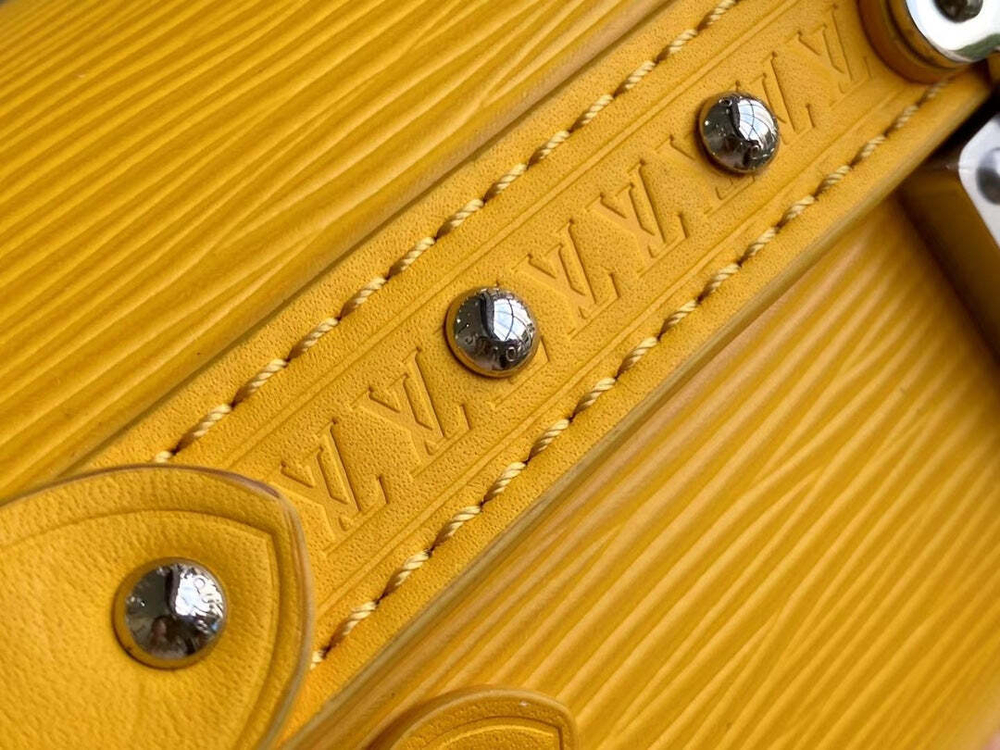 Louis Vuitton Papillon Trunk