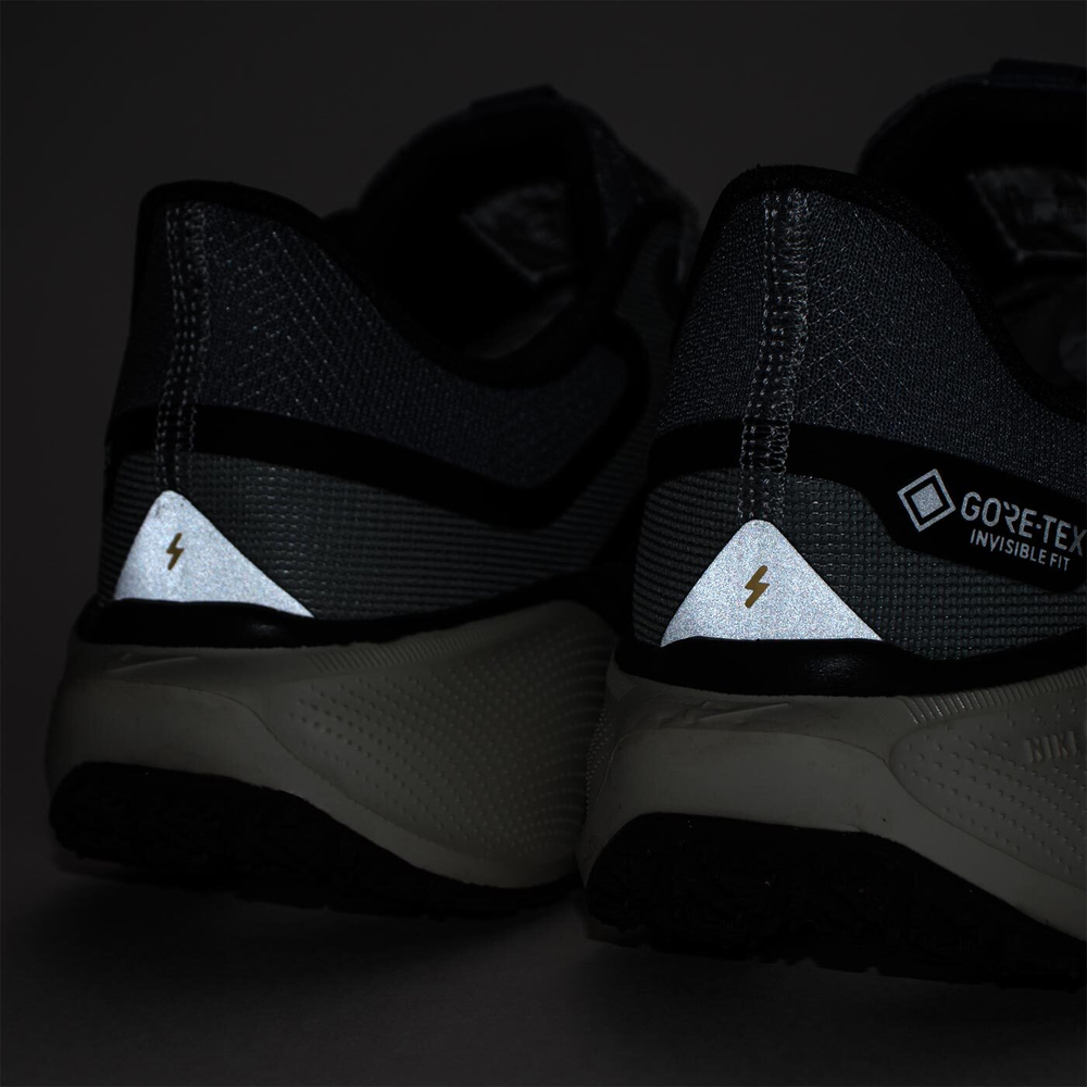 Кроссовки Nike Pegasus 41 Gtx Grey Brown