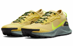 Кроссовки Nike Pegasus Trail 3 Gtx