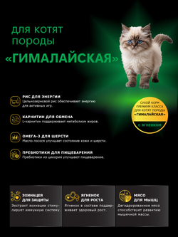 Корм сухой для котят породы Гималайская, с ягненком, 2кг, QUATTRO