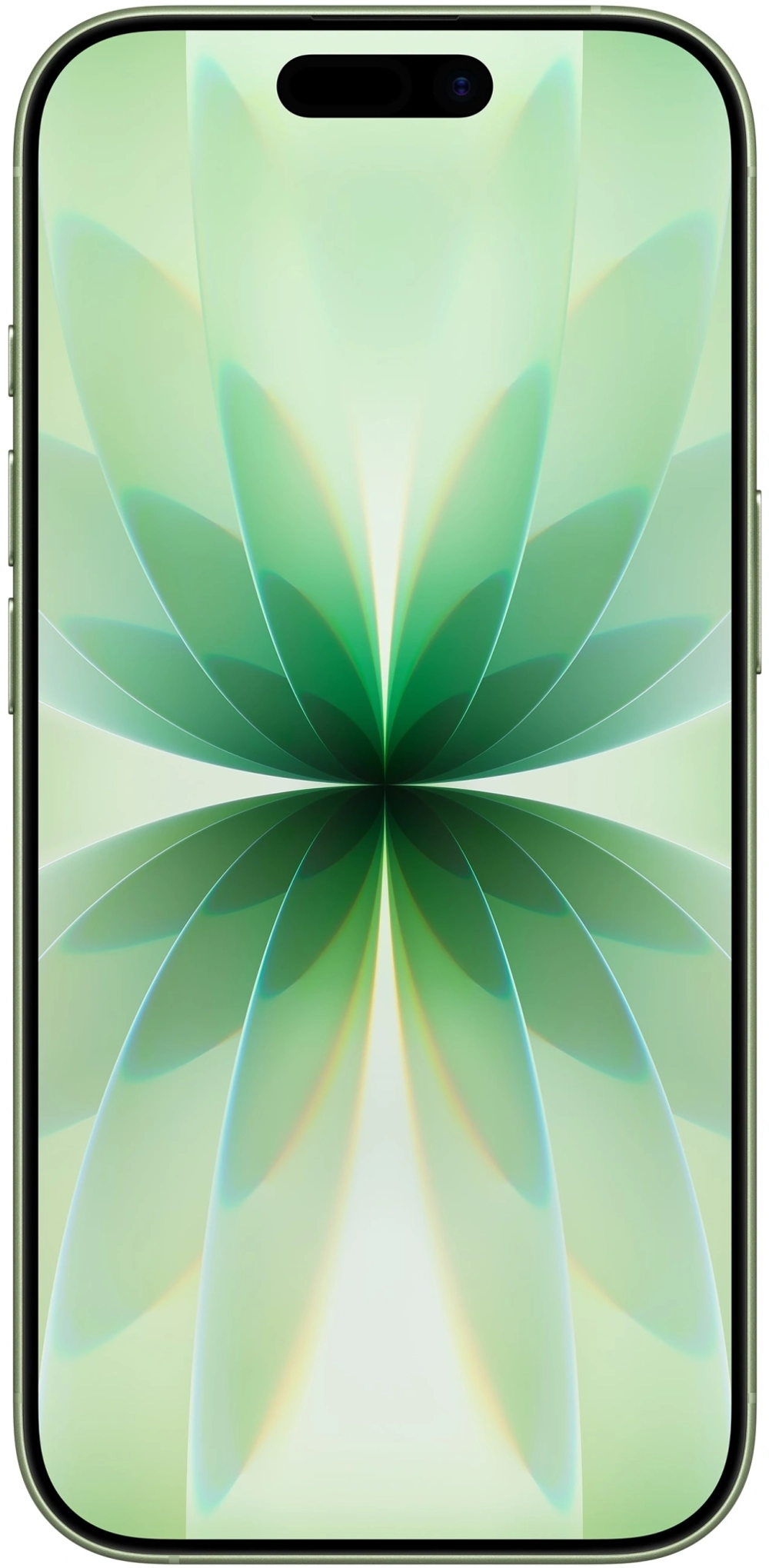 Смартфон Apple A3521 iPhone 17 256Gb зеленый моноблок 3G 4G 2Sim 6.3" 1206x2622 iOS 26 48Mpix 802.11 a/b/g/n/ac/ax/be NFC GPS Protect