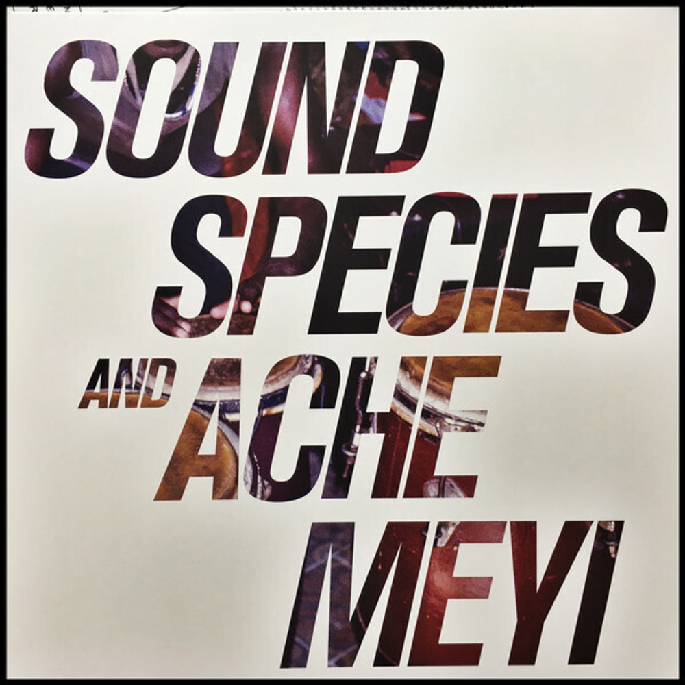 LP: Soundspecies & Ache — Meyi