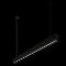 Подвесной светильник Loft IT Vim 10318/D Black