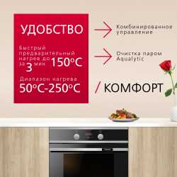 Духовой шкаф Hansa BakingPro BOEI694003