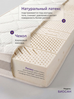 Матрас Biosana PLUS H25