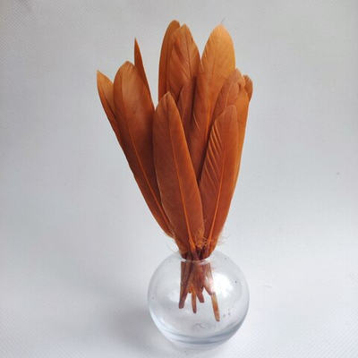 Перья утки жженая карамель 15 шт.