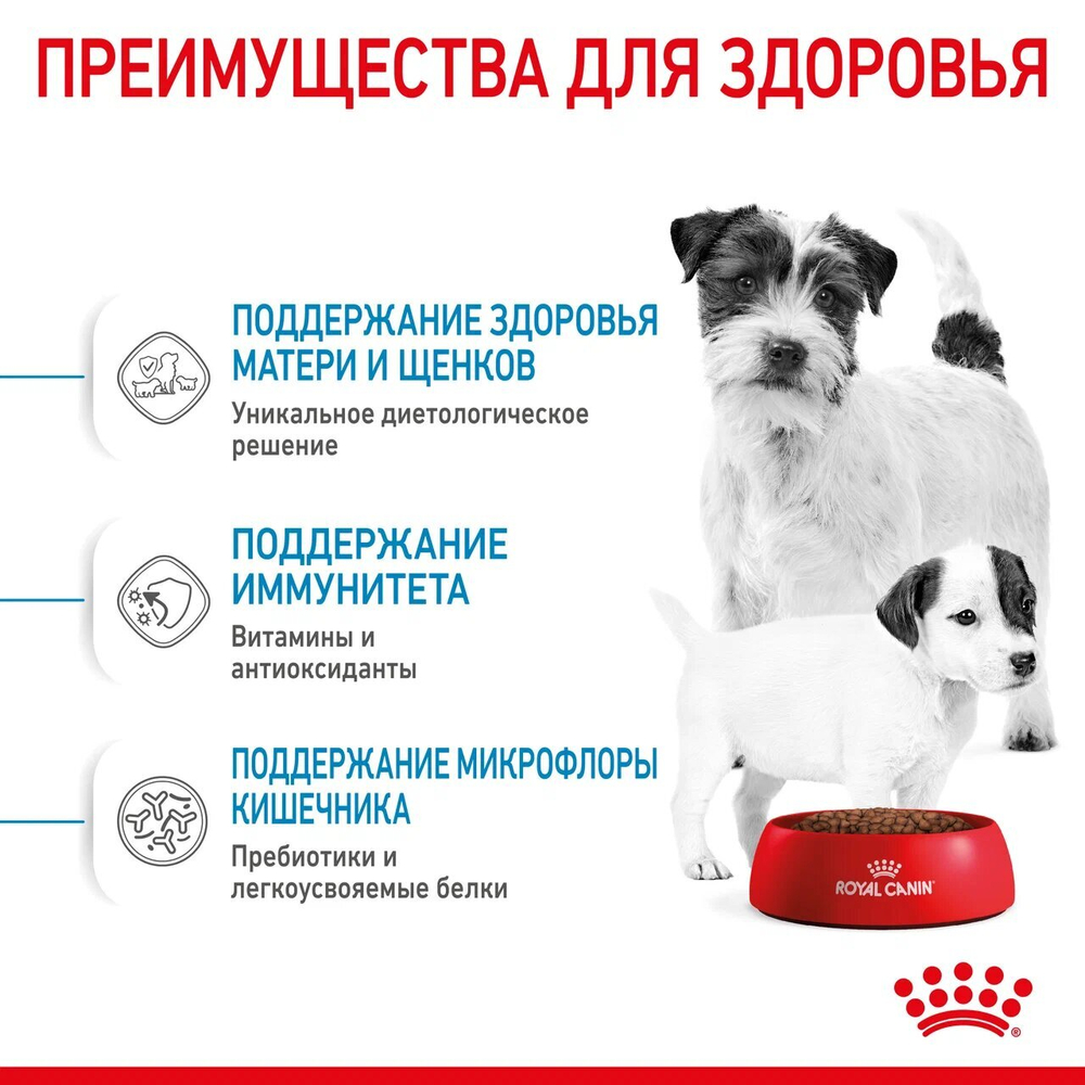 ROYAL CANIN Mini Starter Корм сухой для щенков мелких пород до 2 месяцев, 1 кг