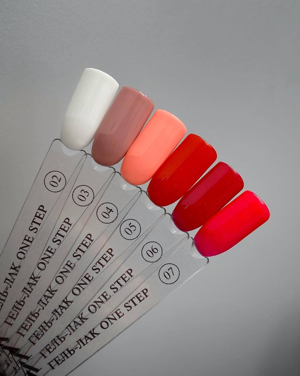 photo_5296581479796687273_y