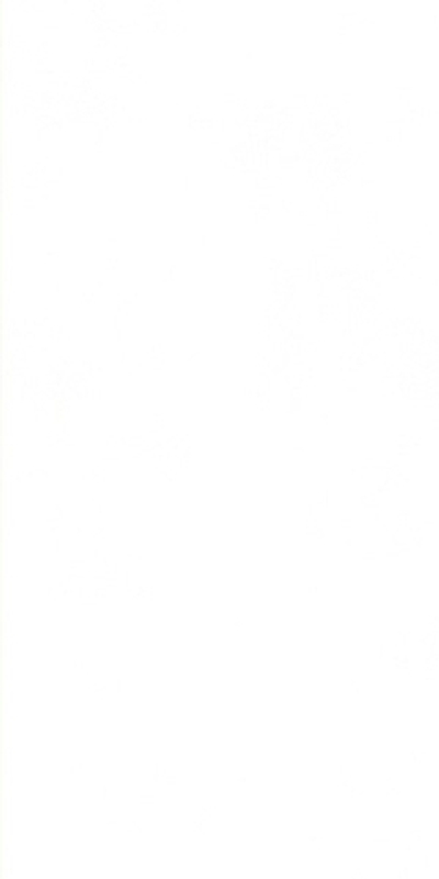 Керамогранит Morandi Zero-M (Art##0007052)