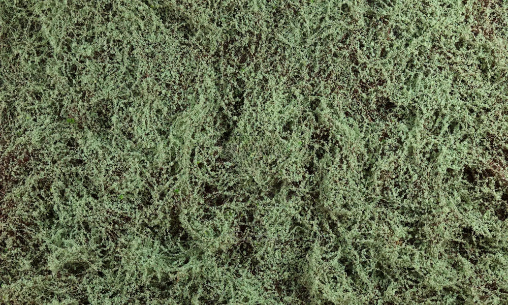 Коврик мха Ягеля 1*1м