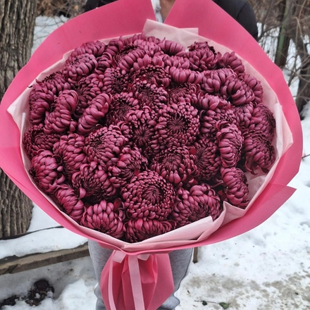 Букет из 51 хризантемы "Бигуди"