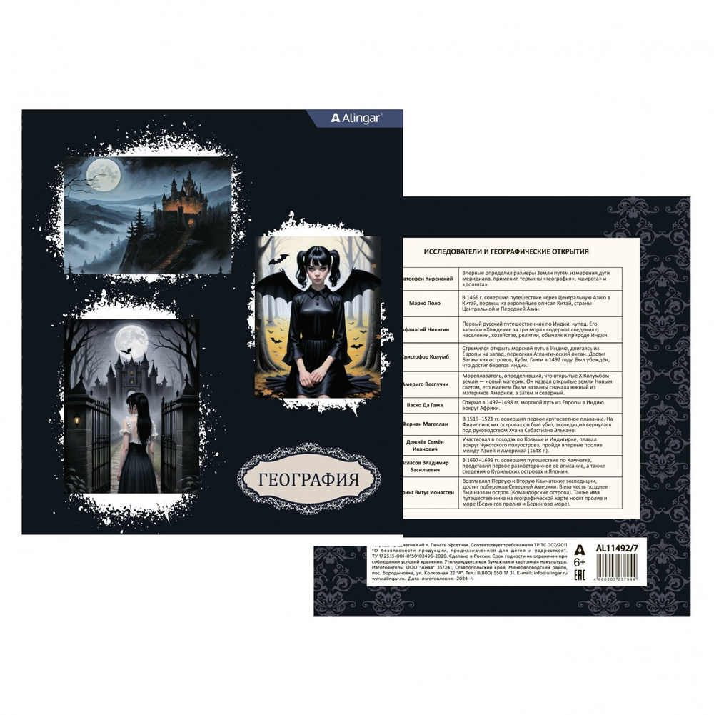 Комплект предметных тетрадей А5 48л., 10 предметов, со справ матер, скрепка, мелов. картон (стандарт), блок офсет, Alingar "Mystical wednesday"