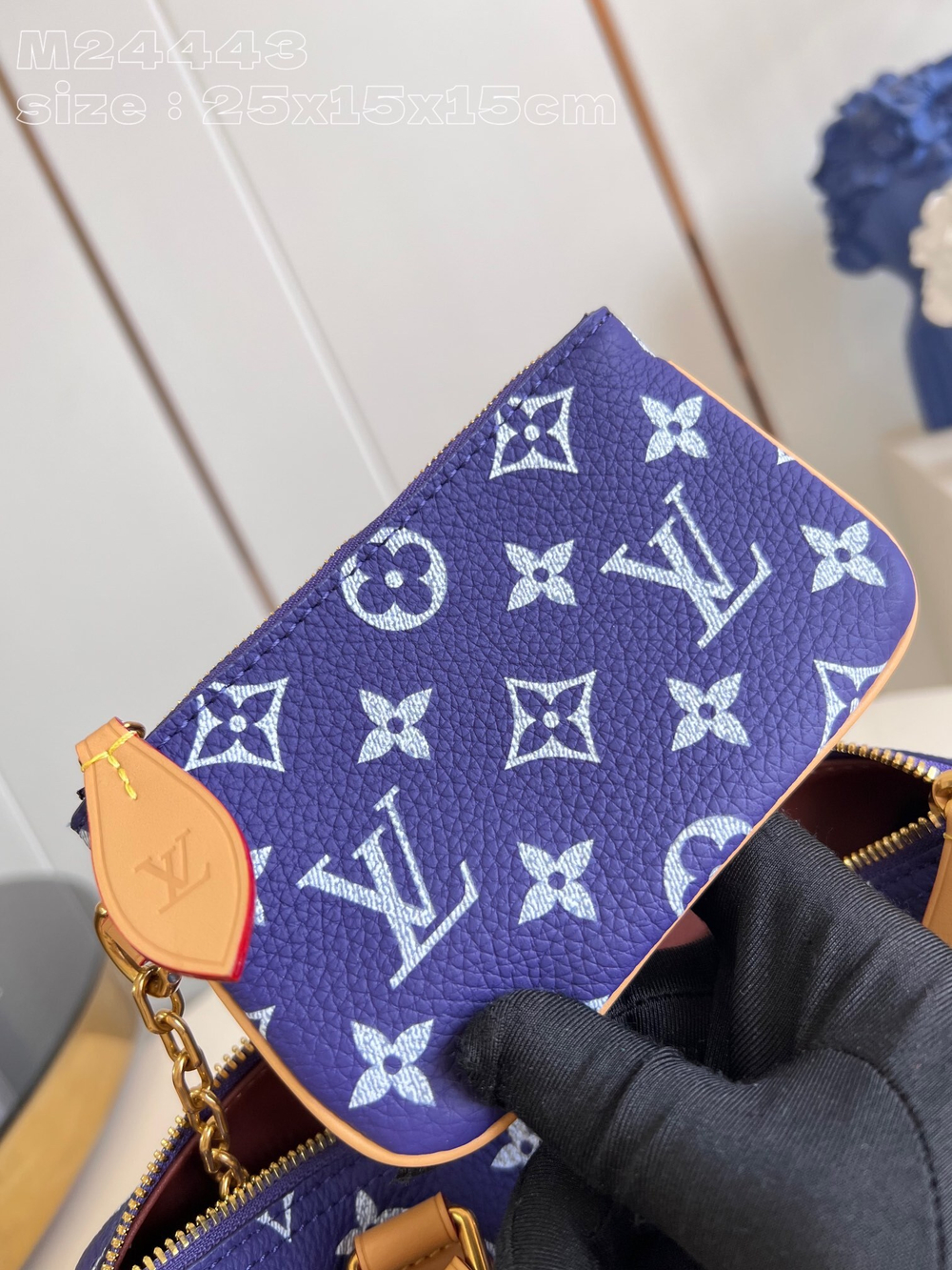 Louis Vuitton Speedy P9 Bandouliere 25