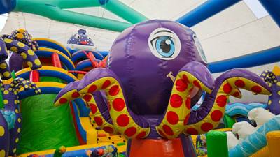 Коммерческий надувной батут «Мега риф», 14*7*8 м