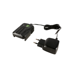 Зарядное устройство Greenworks Арт. 2946207, 24V, 2А