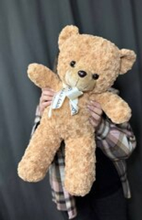 Медведь бежевого цвета