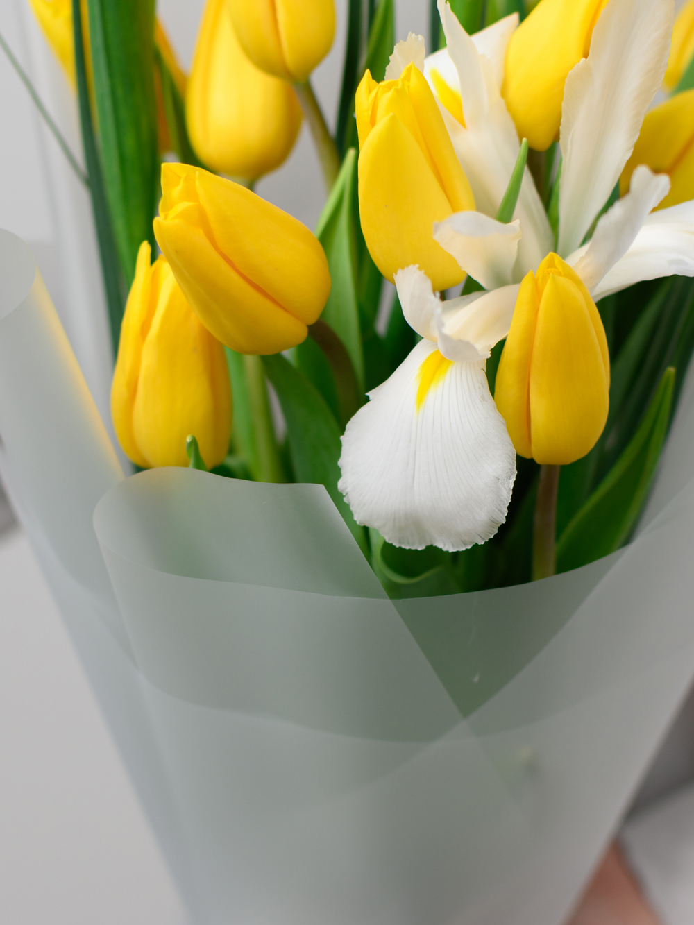 Дуо букет Ирисы с Тюльпанами