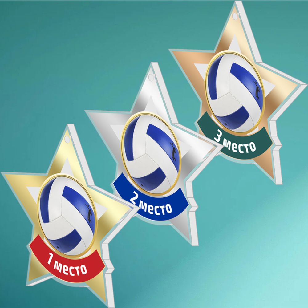 Акриловая медаль Волейбол 1734