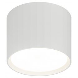 Светильник настенно-потолочный спот ЭРА OL39 WH под GX53 IP20 белый