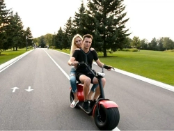 Электросамокат El-sport Citycoco 1500W 60V, 20Ah