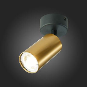 ST303.202.01 Потолочный светильник Золотистый GU10 1*50W  IP20 D70xH168 220V Без ламп Накладные светильники
