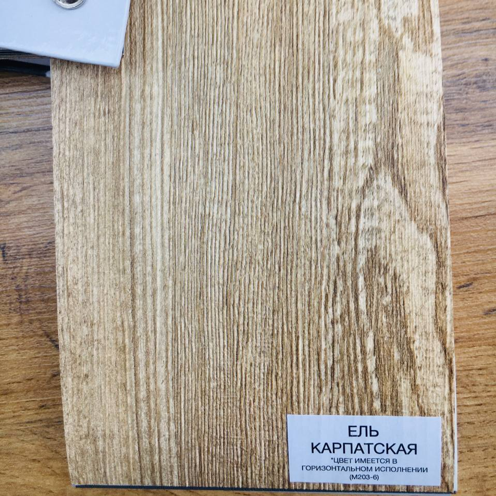 Ель карпатская