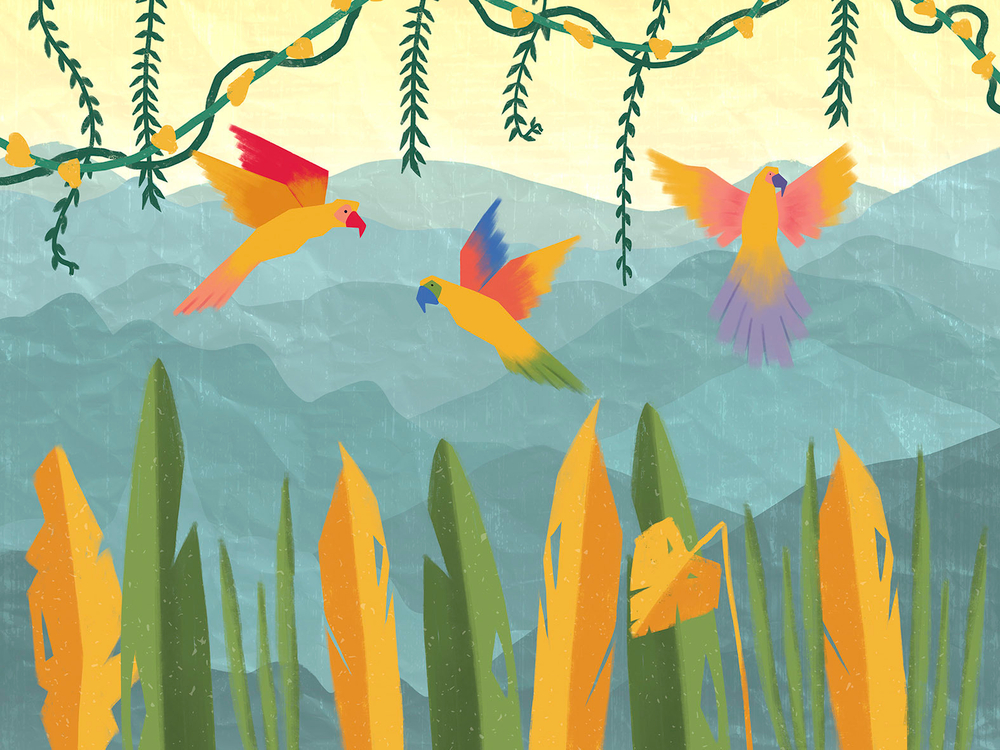 Дизайнерские обои Wall Street Jungle