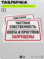 Табличка для частной территории "Частная собственность, охота и прогулки запрещены", на дом, для участка, организаций, предупреждающая, 40х30 см, Silver Plane x Айдентика Технолоджи