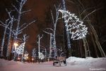 Светодиодная конструкция «Ель склонившаяся»