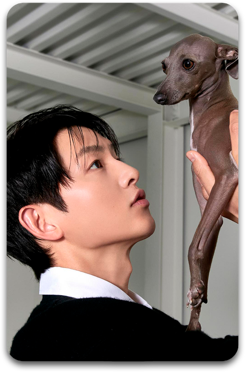 Карта #1956 / Song Joongki