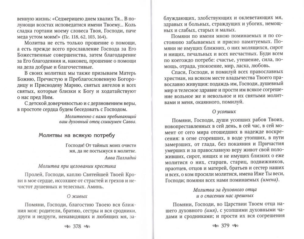 Духовный бисер. Избранные проповеди и поучения. Схиигумен Савва (Остапенко)