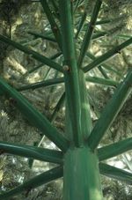 Уличная елка ствольная "Альпийская белая ель" (пвх) 15 м