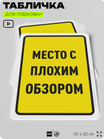 Табличка для парковки "Место с плохим обзором", для дома, офиса, организаций, 40х30 см, Silver Plane x Айдентика Технолоджи