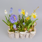 Композиция с первоцветами Брёвна M