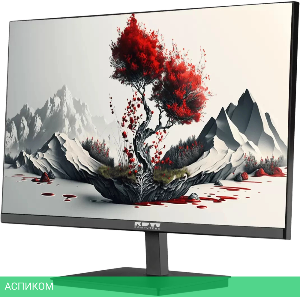 Монитор RDW Computers 23.8" RDW2401K