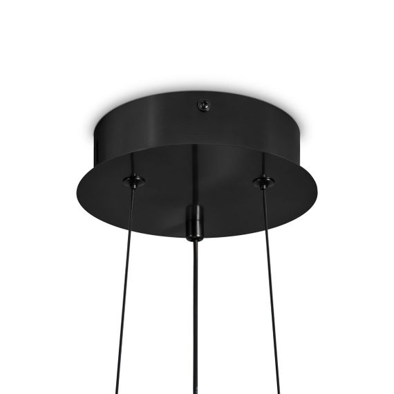 Подвесной светодиодный светильник Freya Citrus FR5398PL-L8B