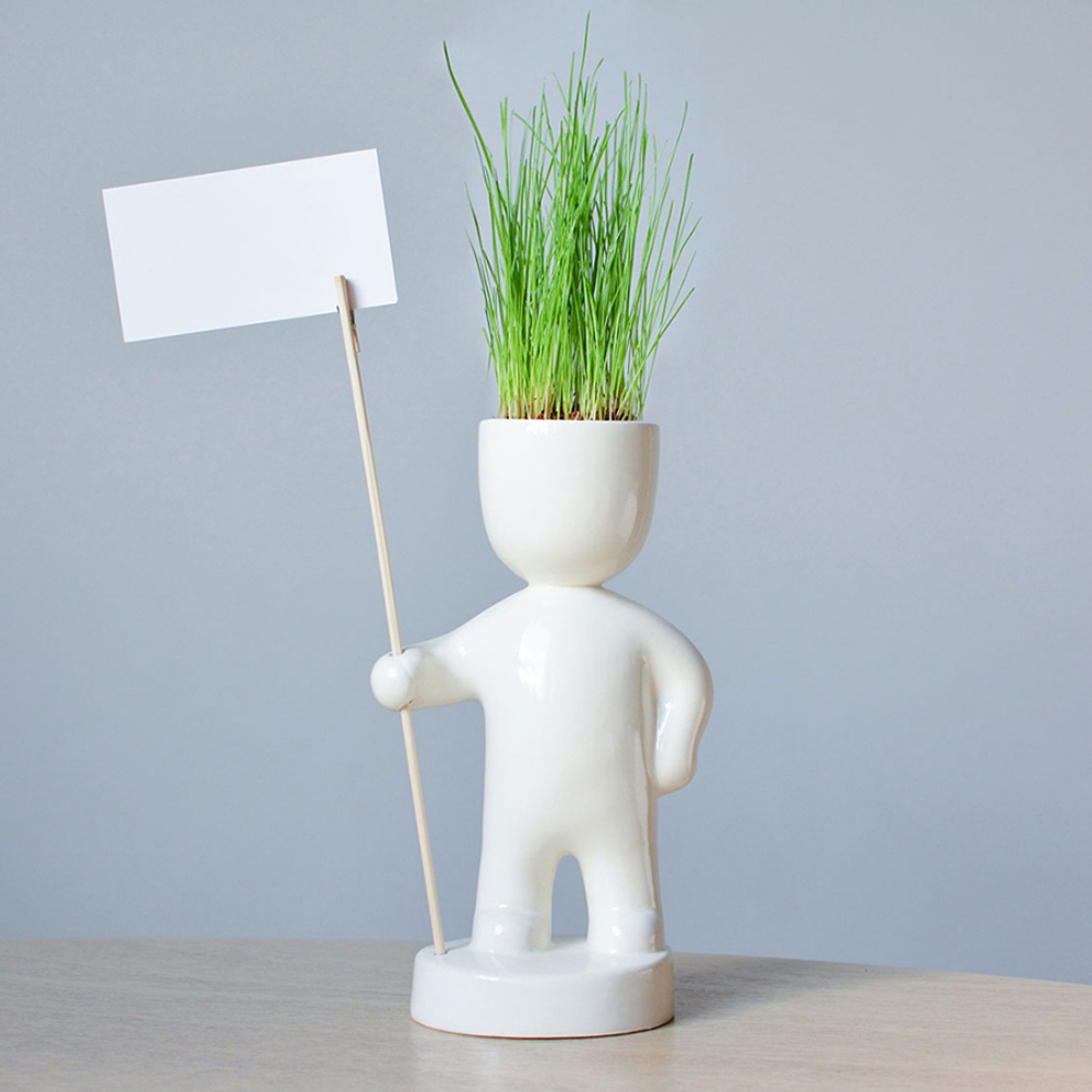 Набор для выращивания eco Знаменосец