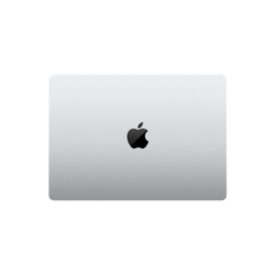 Ноутбук Apple MacBook Pro 14" (M4 10C CPU, 10C GPU, 2024) 16 ГБ, 1 ТБ SSD, Серебристый (Silver)