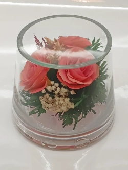 натуральные розы в стекле, вакуум