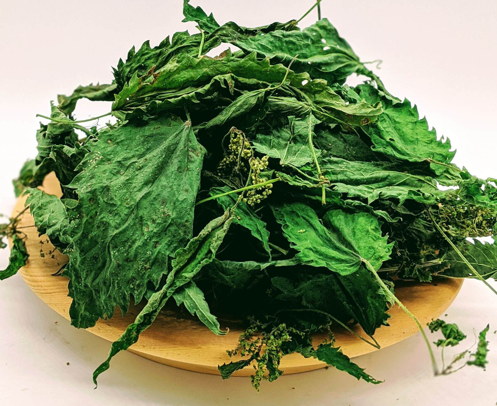 Крапива двудомная (цвет и лист) цельная