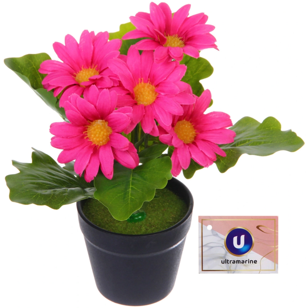 Цветочная композиция «Поцелуй лета» Хризантема ярко-розовая 20см