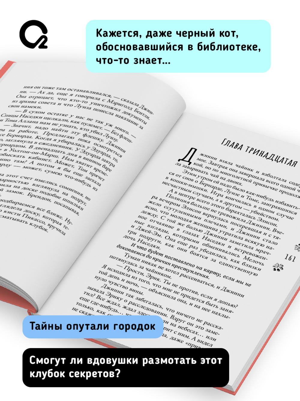 Аманда Эшби. Смерть в вязаных носочках
