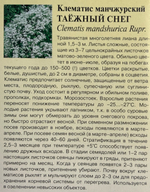 Клематис Таежный снег(манчжурский)* 0,05 г СМЦ-731