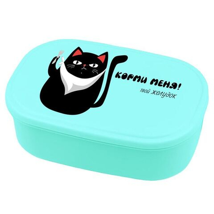 Ланчбокс 270мл., "Корми меня !", для школьных завтраков, перекусов