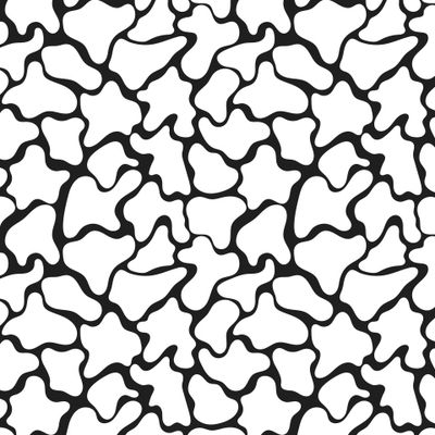 Белые пятна